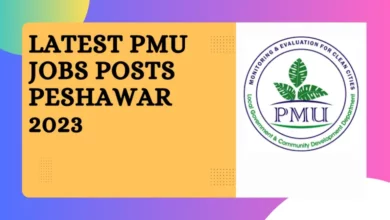 Latest PMU Jobs Posts Peshawar 2023